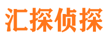 登封市侦探